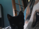 Fotoblog choooocolatte