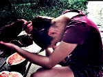 Fotoblog marienkaferr