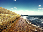 Fotoblog lupet