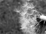 Fotoblog chuckys