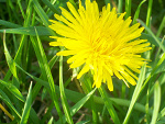 Fotoblog mylife34