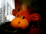Fotoblog oliwcia3krejzolek