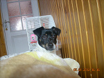 Fotoblog pawlusia