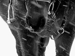 Fotoblog sandi230796