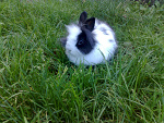 Fotoblog ariaa