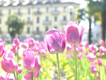 Fotoblog cysz