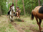 Fotoblog hardkorowcybarto