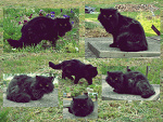 Fotoblog imx2ortal