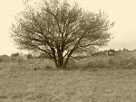Fotoblog fuuckiitaall