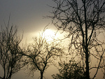 Fotoblog haborymsah
