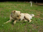 Fotoblog nika0211
