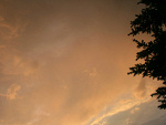 Fotoblog zlybuber