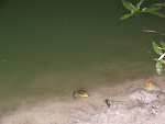 Fotoblog robak35