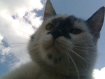 Fotoblog asdo