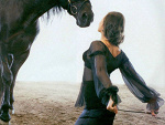 Fotoblog wildhorsesopisy