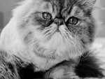 Fotoblog believeinyourself9