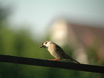 Fotoblog przemek31