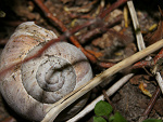 Fotoblog emilkakotka