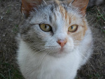Fotoblog andzela21060