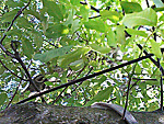 Fotoblog zapomniecc