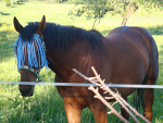 Fotoblog majowa28