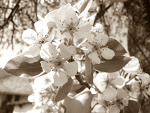 Fotoblog carmelova1995