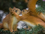 Fotoblog chmieluuu