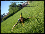 Fotoblog olluniaa