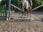 Fotoblog asia12499