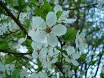 Fotoblog normalshots