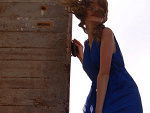 Fotoblog schwarzenrose
