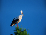 Fotoblog xullax
