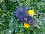 Fotoblog makemebadd