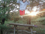 Fotoblog smerfetka007