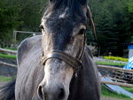 Fotoblog stajniaer