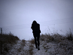 Fotoblog wildwight
