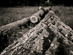 Fotoblog dariuszfoto