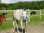 Fotoblog eksi