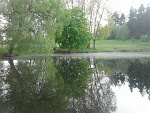 Fotoblog harryy666