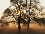 Fotoblog hiphophominid