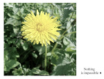 Fotoblog photoimages