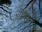Fotoblog nevertrust