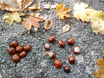 Fotoblog zdjtobajka