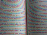 Fotoblog kiwiki15