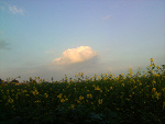 Fotoblog pati699