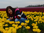 Fotoblog strawberry123122