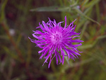 Fotoblog bbjj