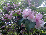 Fotoblog dorota787451