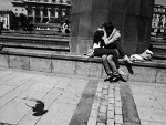 Fotoblog mysis