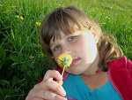 Fotoblog delfin525